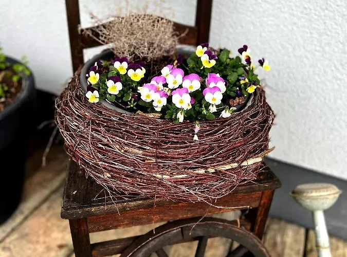 Ast Lägenhet Burg (Spreewald)